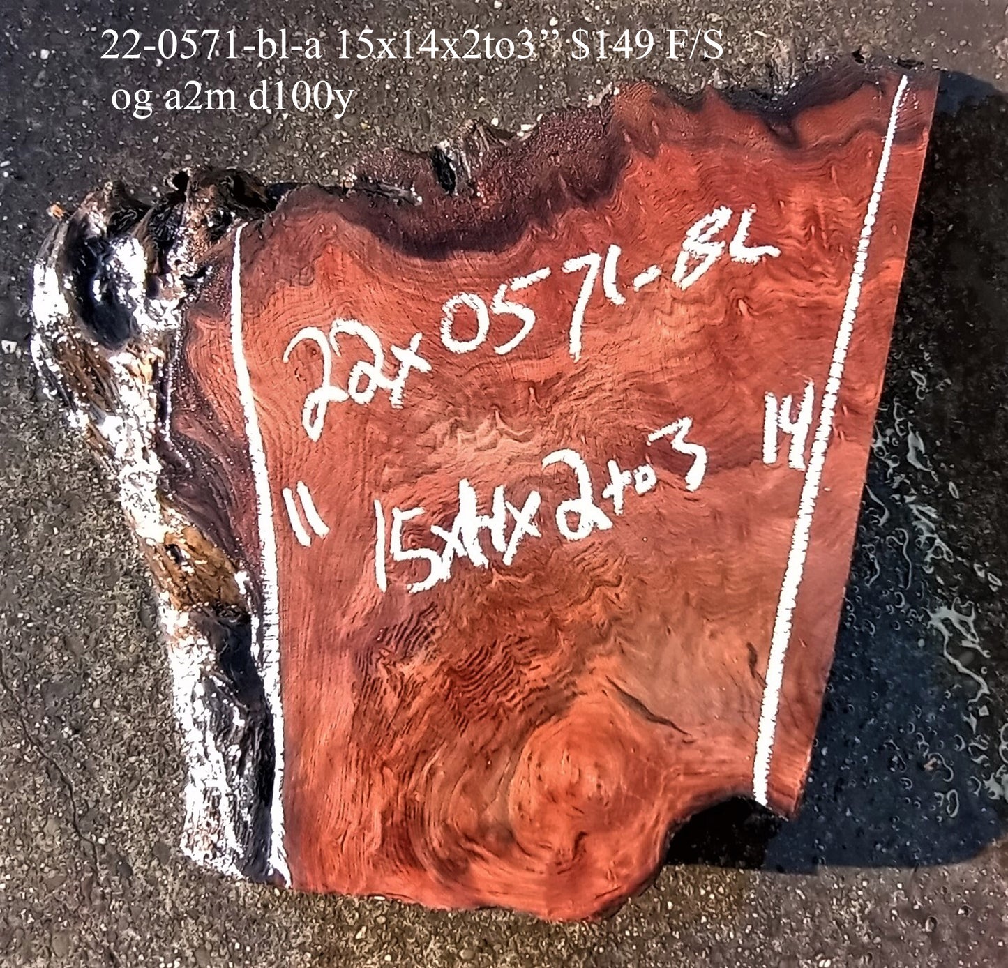 Redwood | Old Growth | Burl | Live Edge | Turning | DIY | Crafts 22-0571