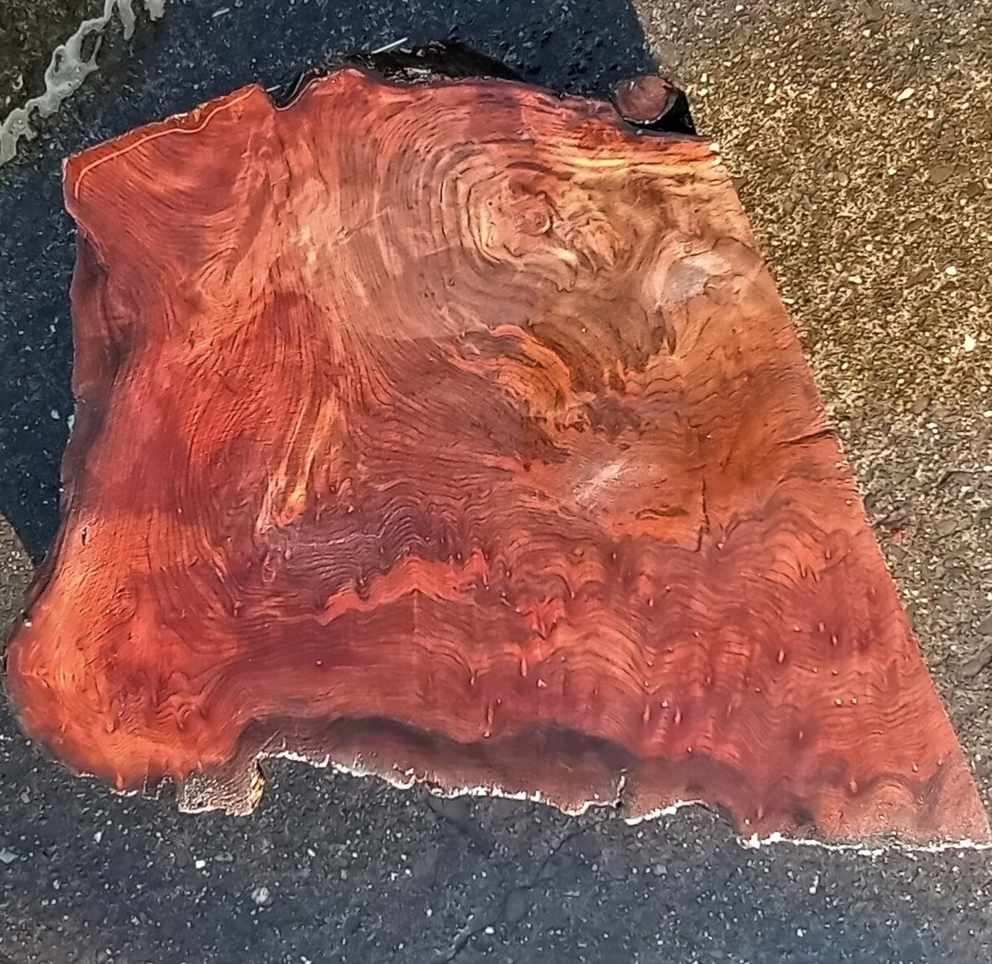 Redwood | Old Growth | Burl | Live Edge | Turning | DIY | Crafts 22-0571