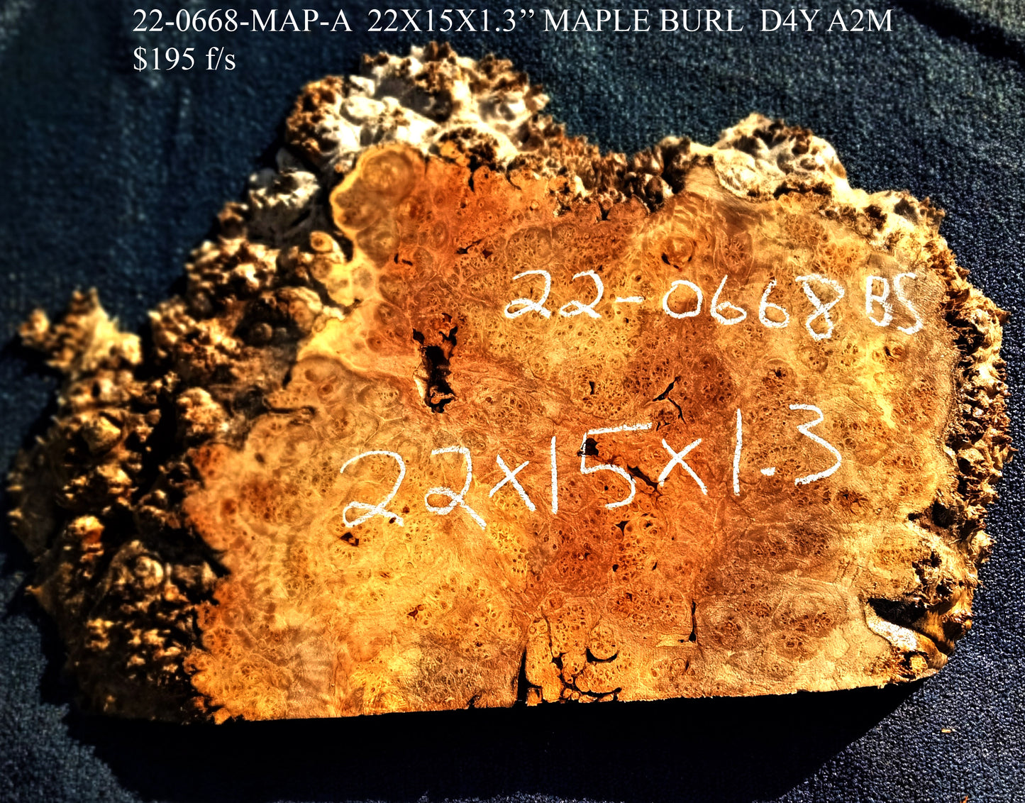 maple burl | live edge | DIY craft wood | 22-0668-BS