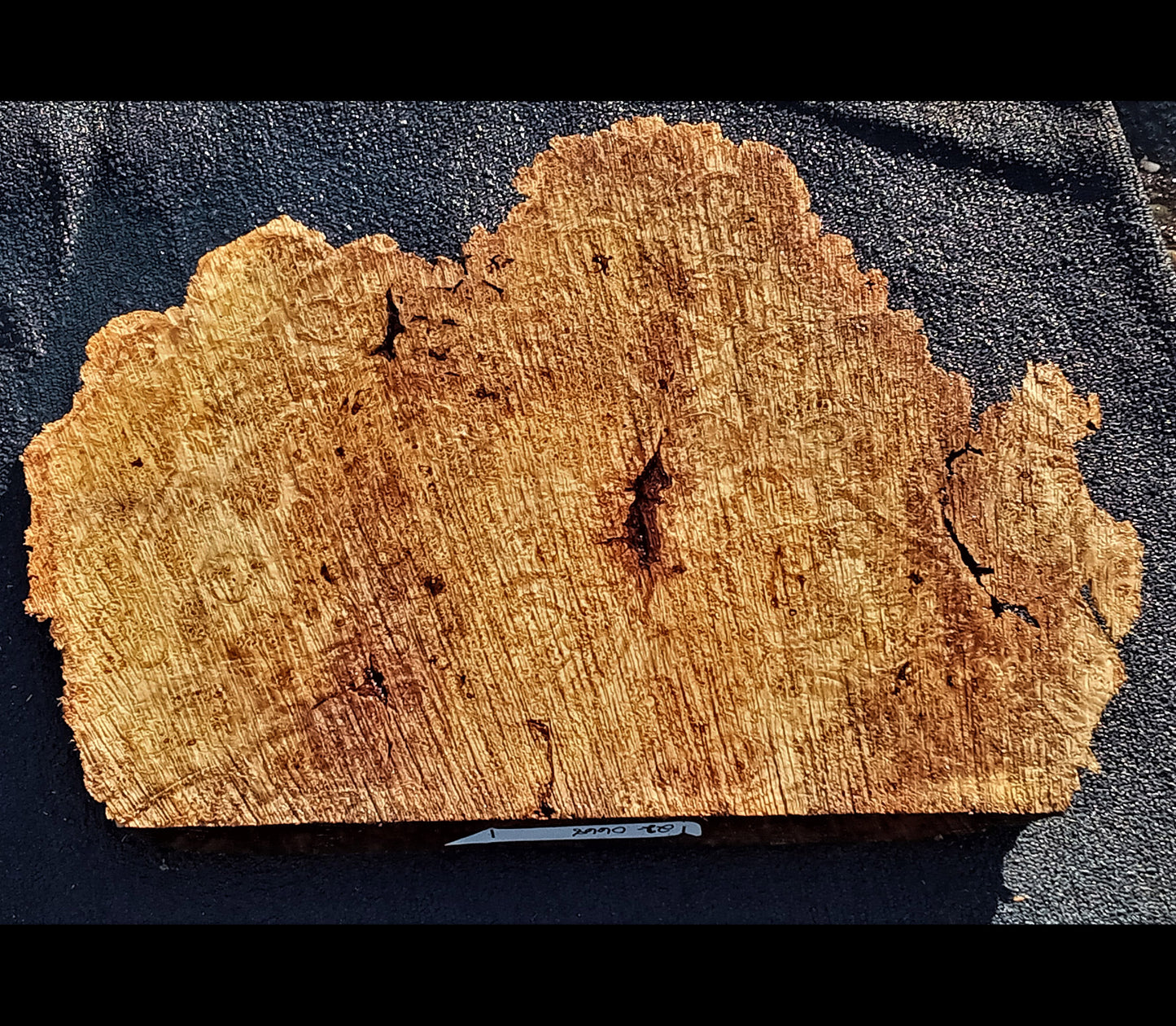 maple burl | live edge | DIY craft wood | 22-0668-BS