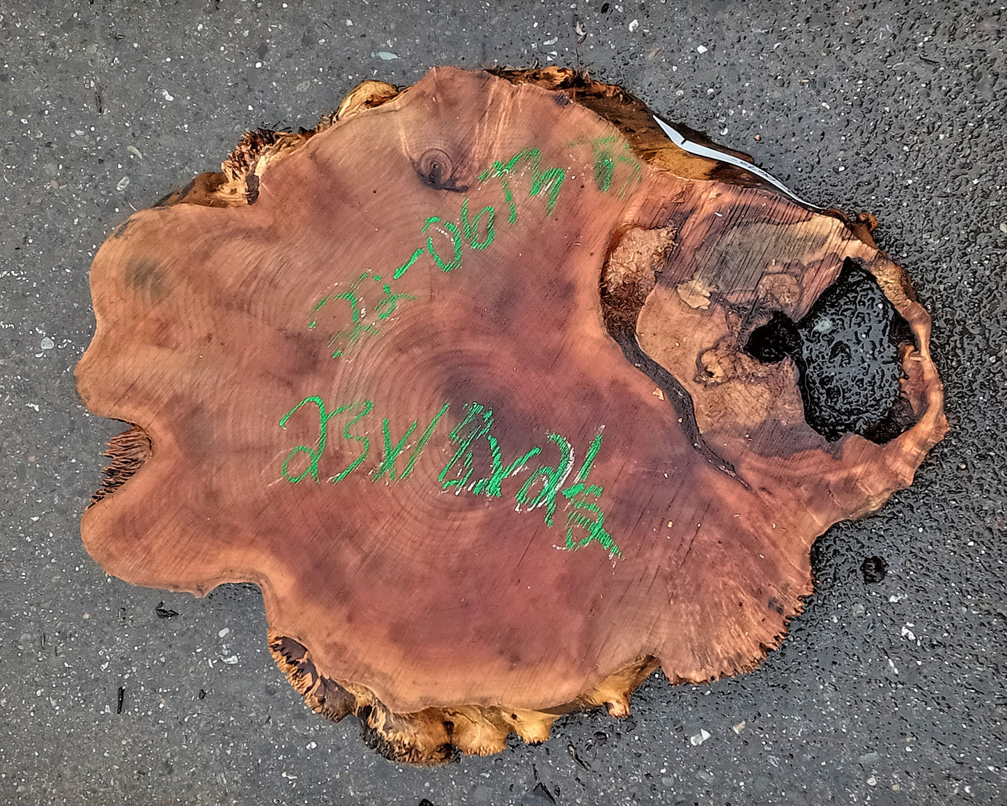 maple burl | live edge | cookie cut | DIY craft wood | 22-0673-BS