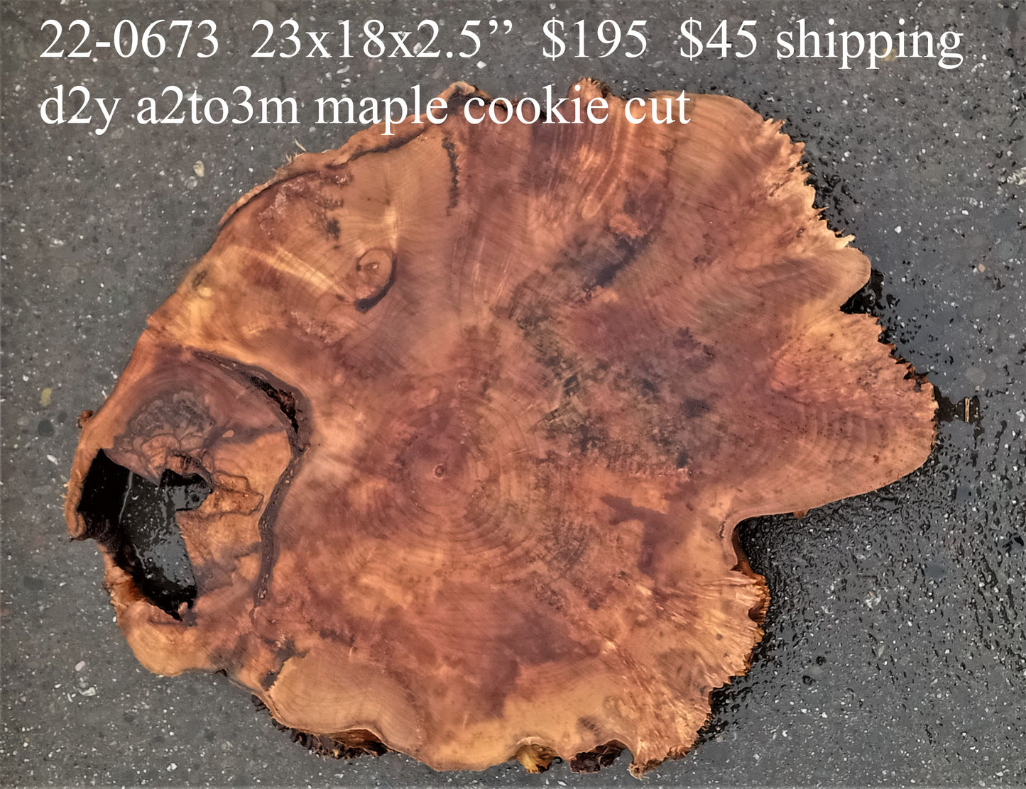 maple burl | live edge | cookie cut | DIY craft wood | 22-0673-BS