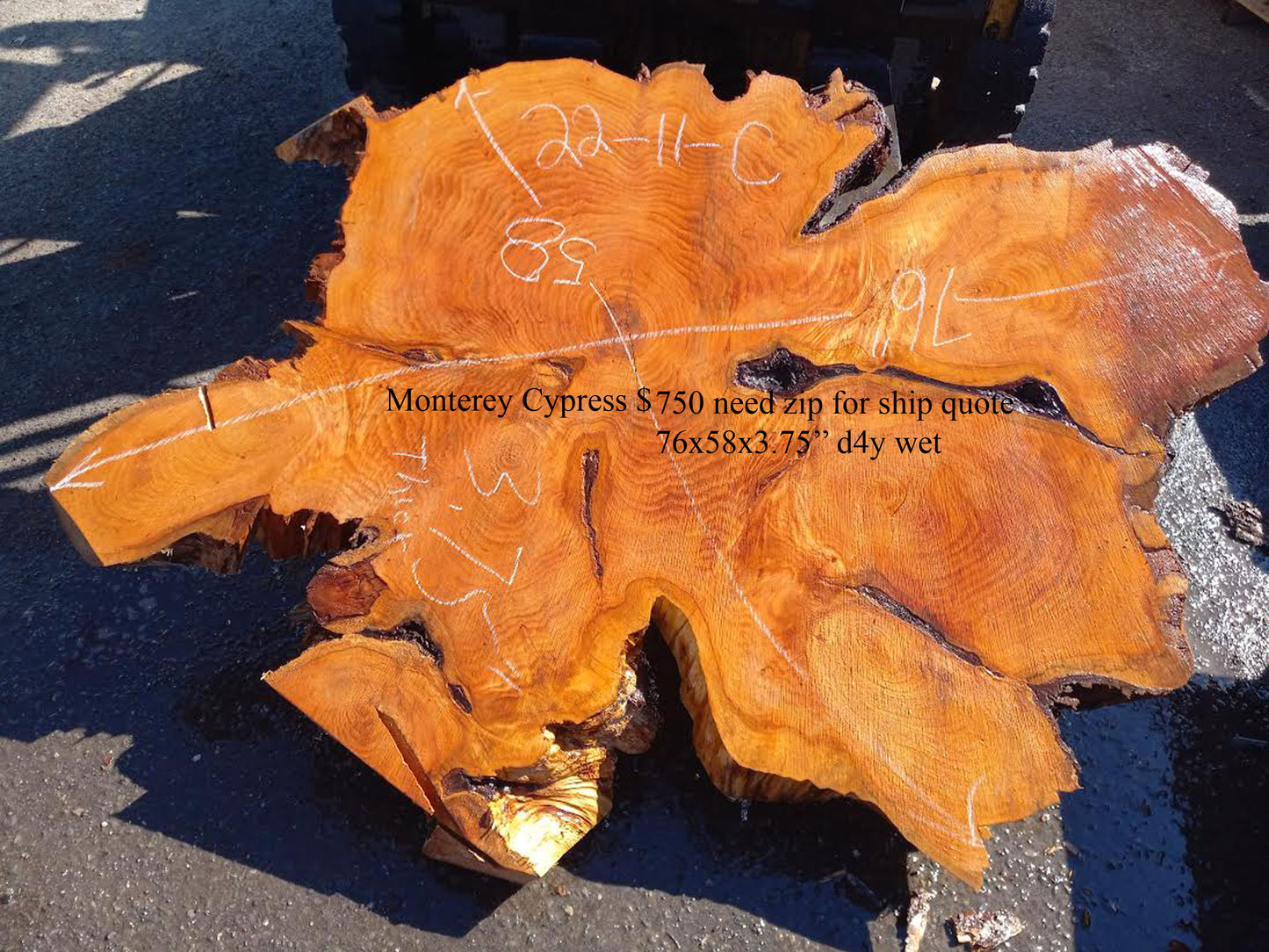 Monterey Cypress | Cookie Cut | Live Edge | DIY | Crafts | 22-11