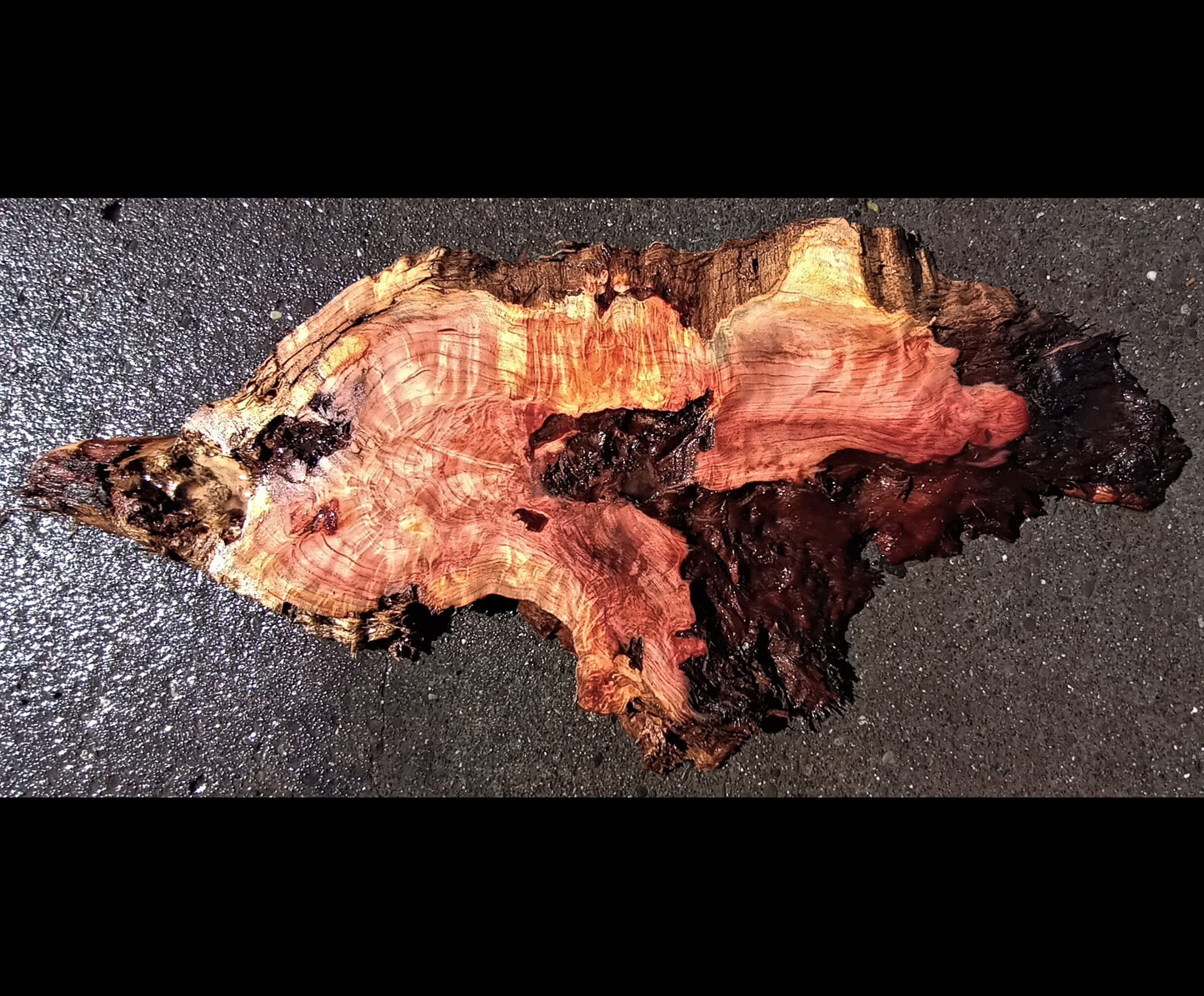 live edge slab | epoxy table | river table | redwood burl | DIY crafts | 22-119