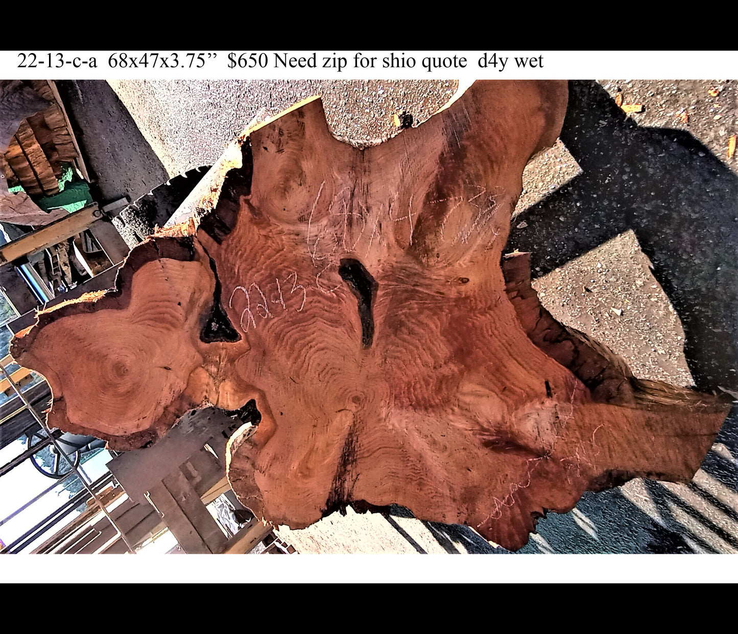 Monterey Cypress | cookie cut | Live Edge | DIY | Crafts | 22-13-c-a