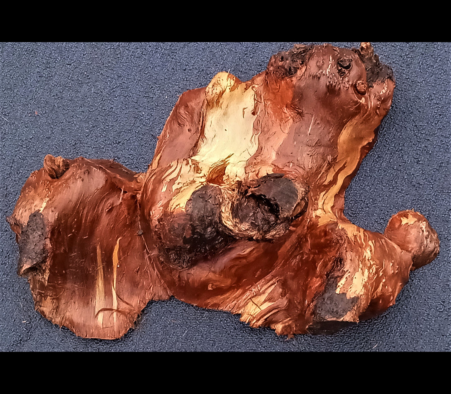 cap cut | DIY crafts | redwood burl | Live edge slab | 22-37-bl