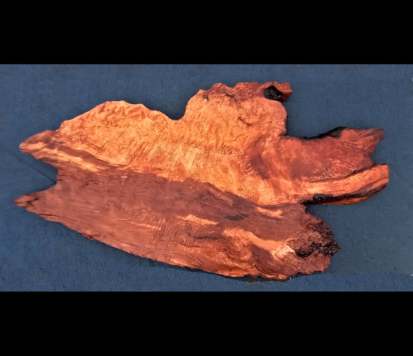 curly redwood | Live edge slab | burl table | river table | DIY crafts | 22-372