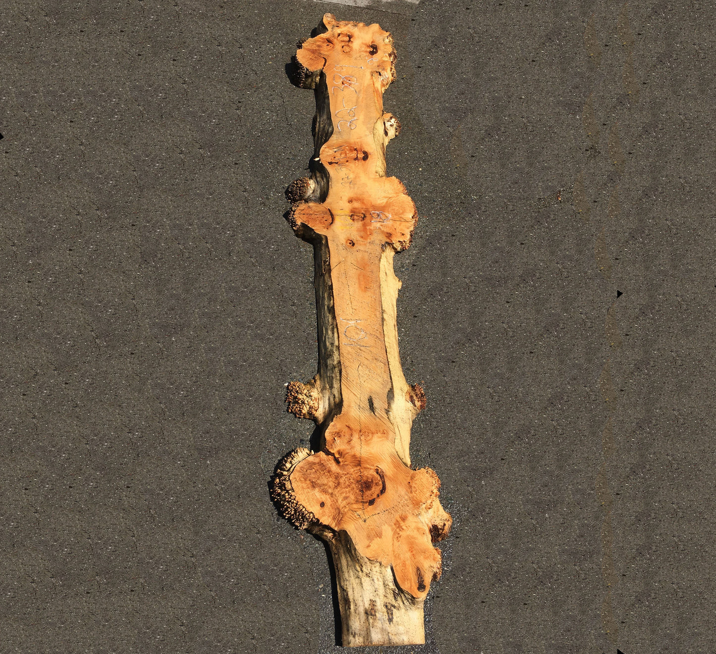River table | maple burl | DIY crafts | resin table | live edge slab | 22-389