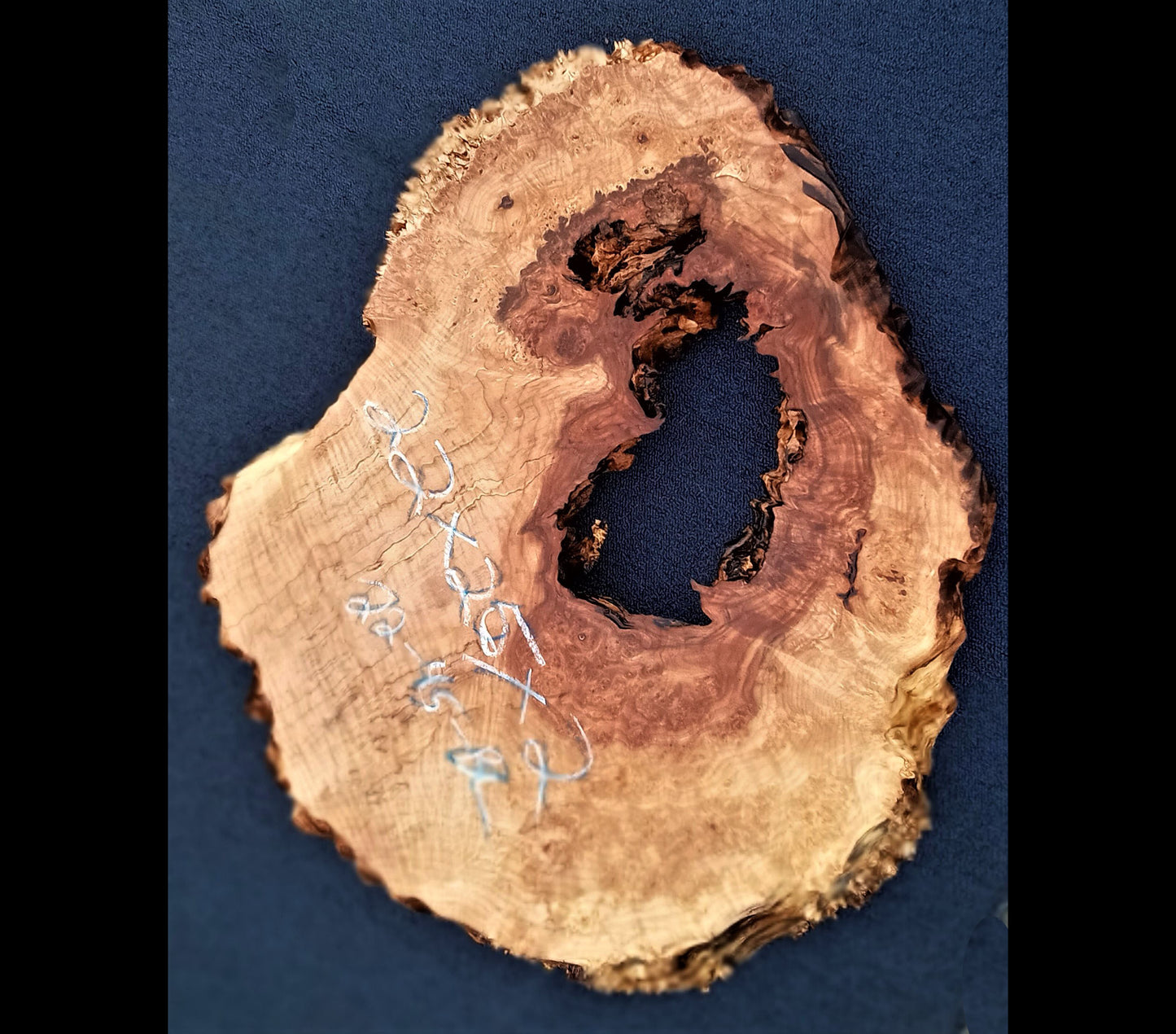 Maple burl | cookie cut | DIY crafts | River table | 22-45-bs