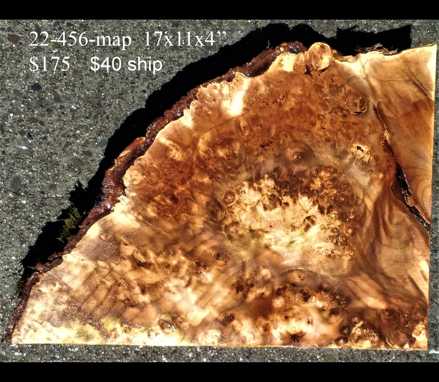 Maple burl | wood turning | bowl blank | DIY wood | 22-456