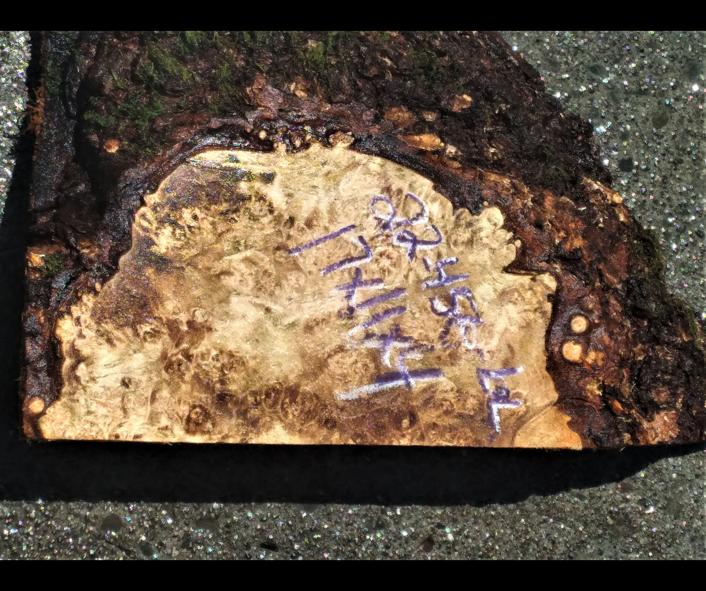 Maple burl | wood turning | bowl blank | DIY wood | 22-456