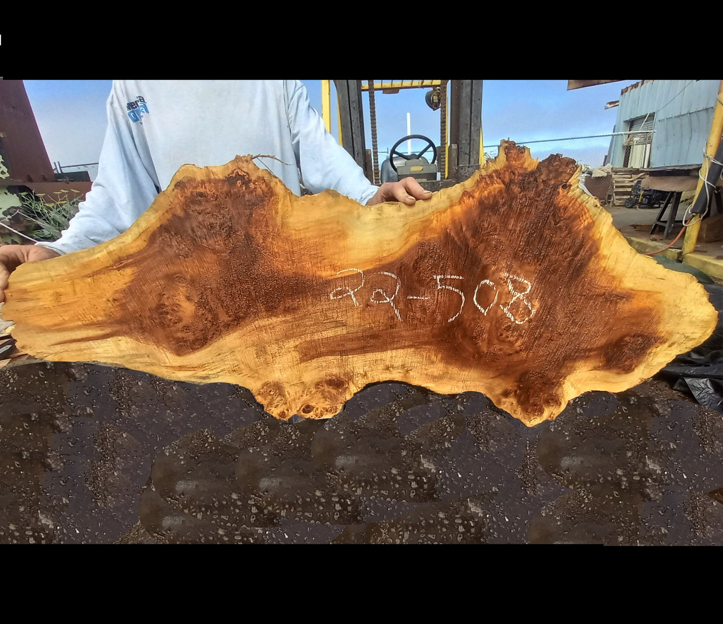 river table | Poplar burl | live edge slab | DIY craft wood | 22-508