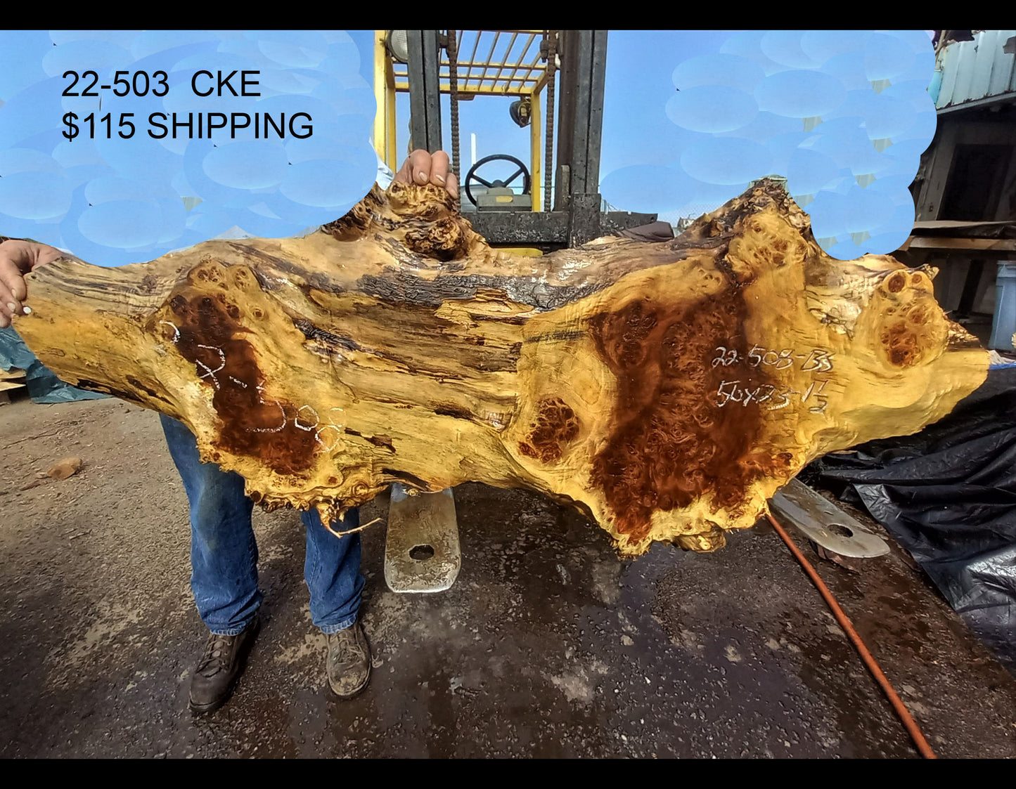 river table | Poplar burl | live edge slab | DIY craft wood | 22-508