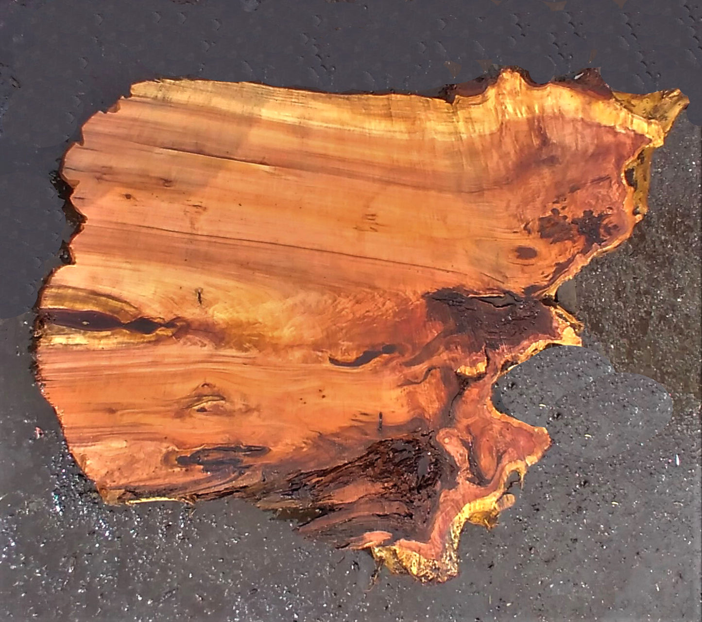 live edge slab | redwood burl | river table | DIY crafts | 22-538