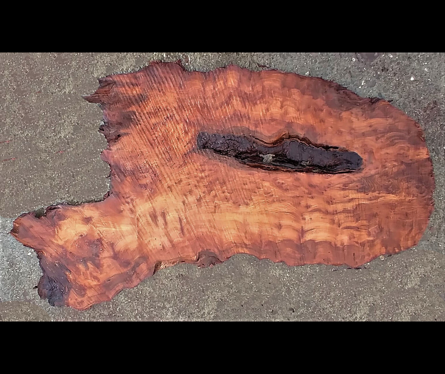 redwood burl | live edge slab | DIY draft ideas | craft wood | 22-575