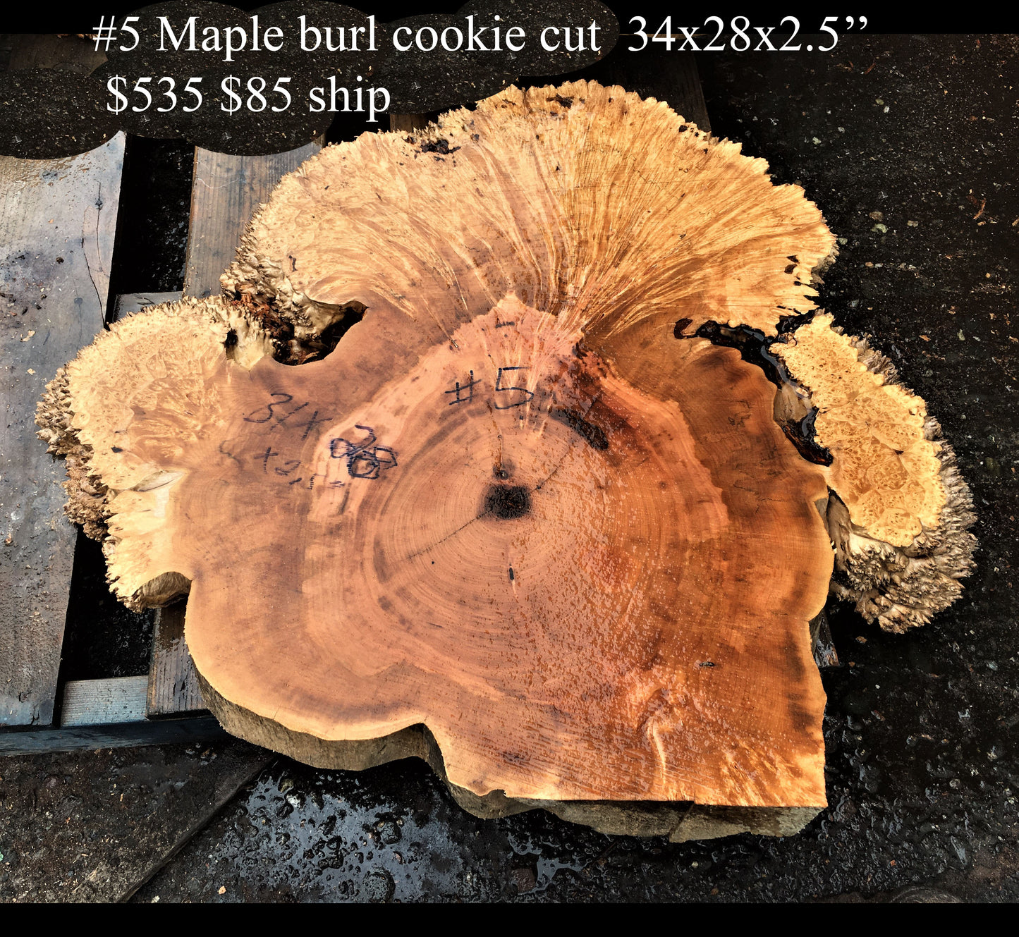 Maple burl | cookie cut | river table | picture frame | #5