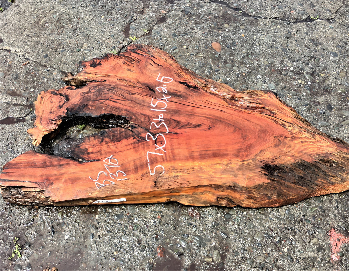 Live Edge Slab | Redwood burl |,rustic furniture - bs1372