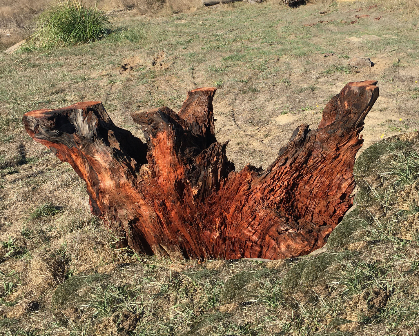Live edge base | rustic redwood base | dining table base | glass or wood top base - lg base
