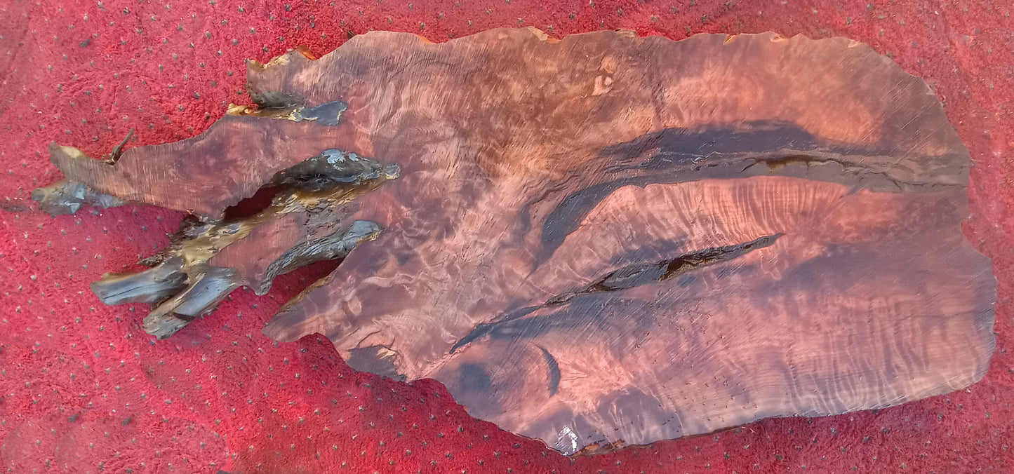 river table | Live Edge redwood burl slab | burl table - bsz1291