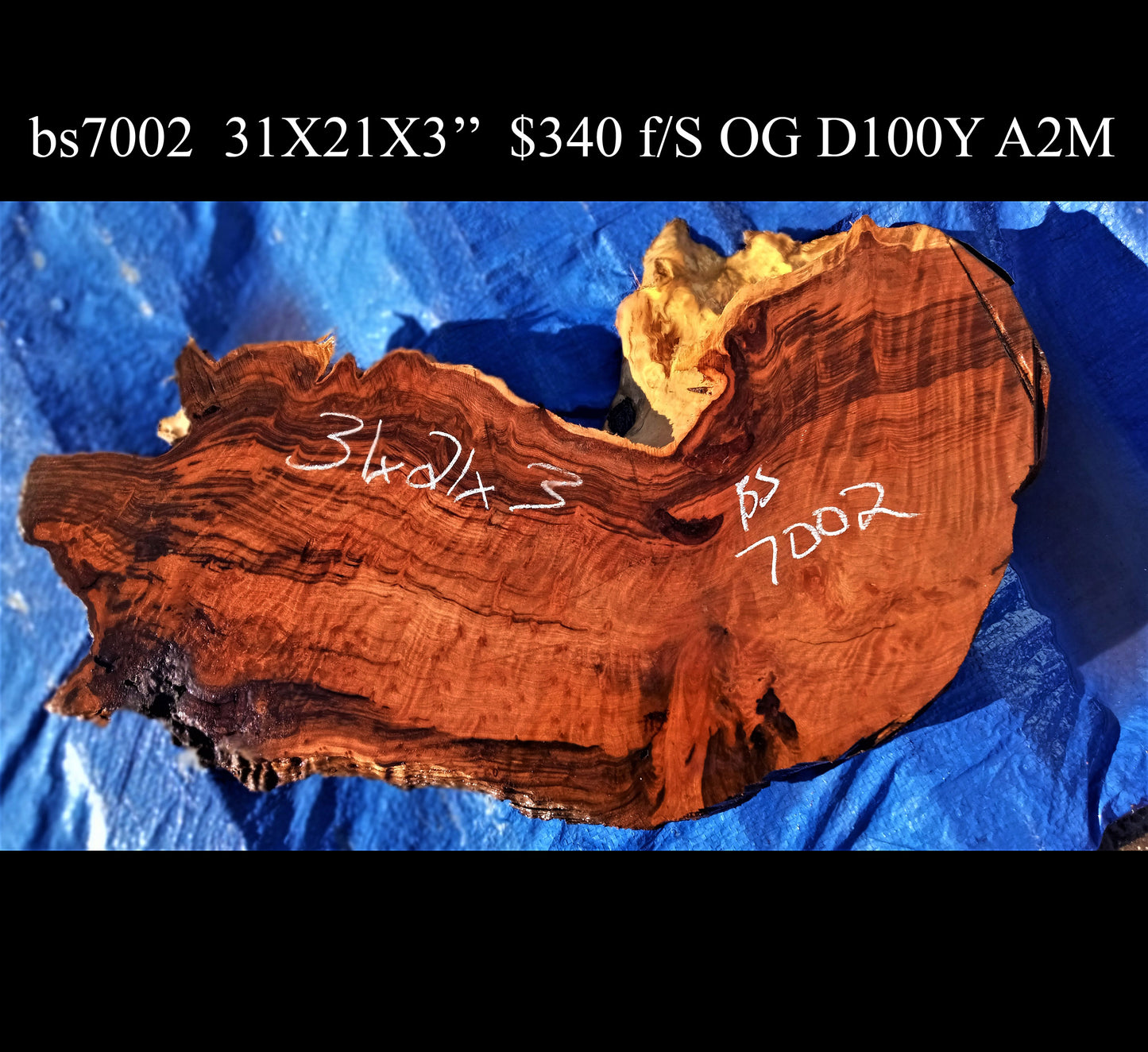 redwood burl | live edge | river table | DIY craft wood | BS7002