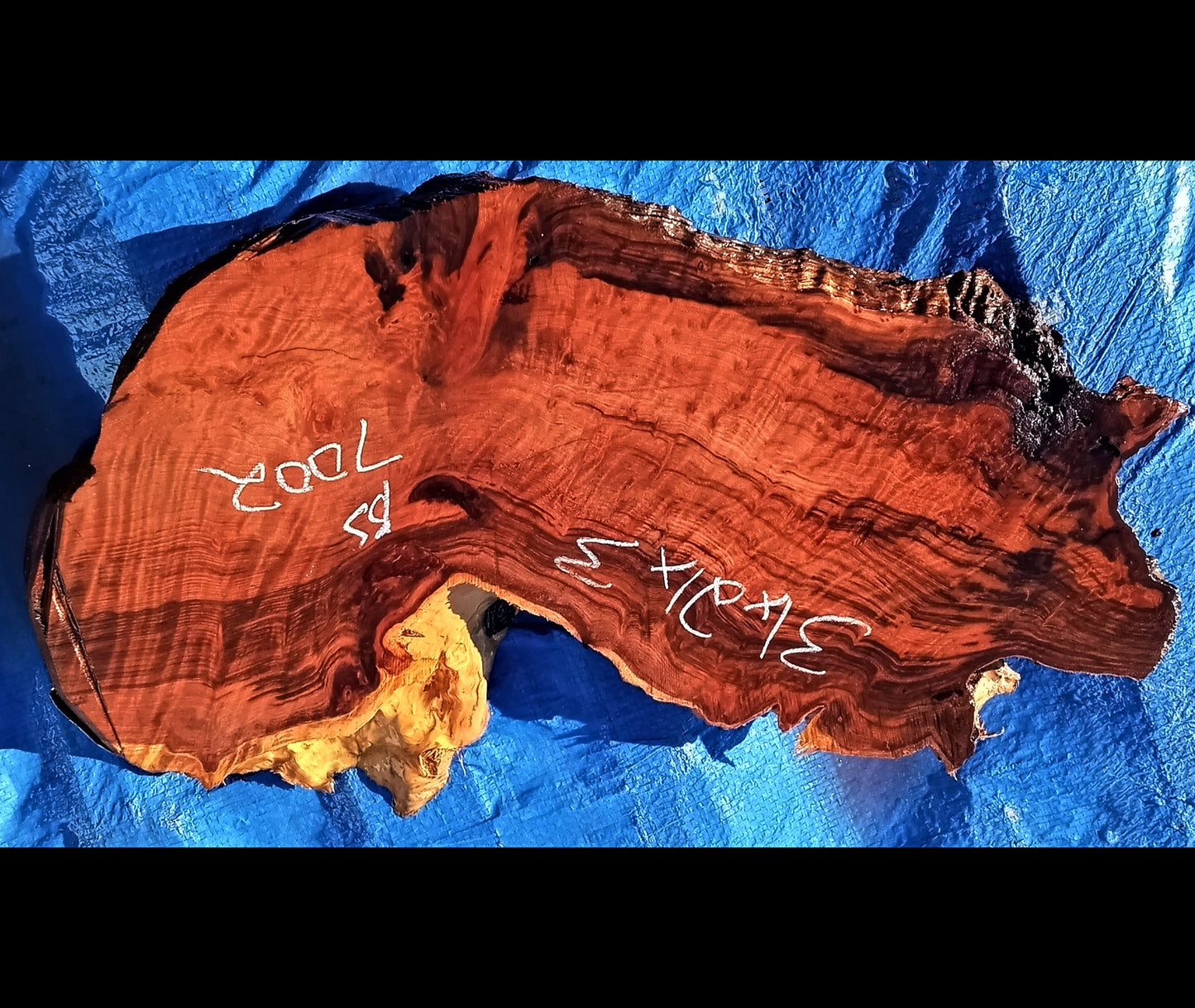 redwood burl | live edge | river table | DIY craft wood | BS7002