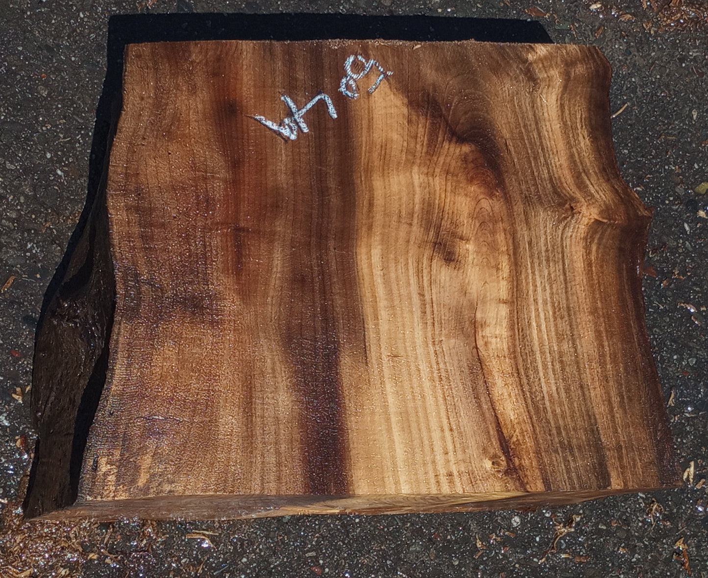 Myrtle wood burl | wood turning | DIY wood crafts | bowl turning | mbl5049
