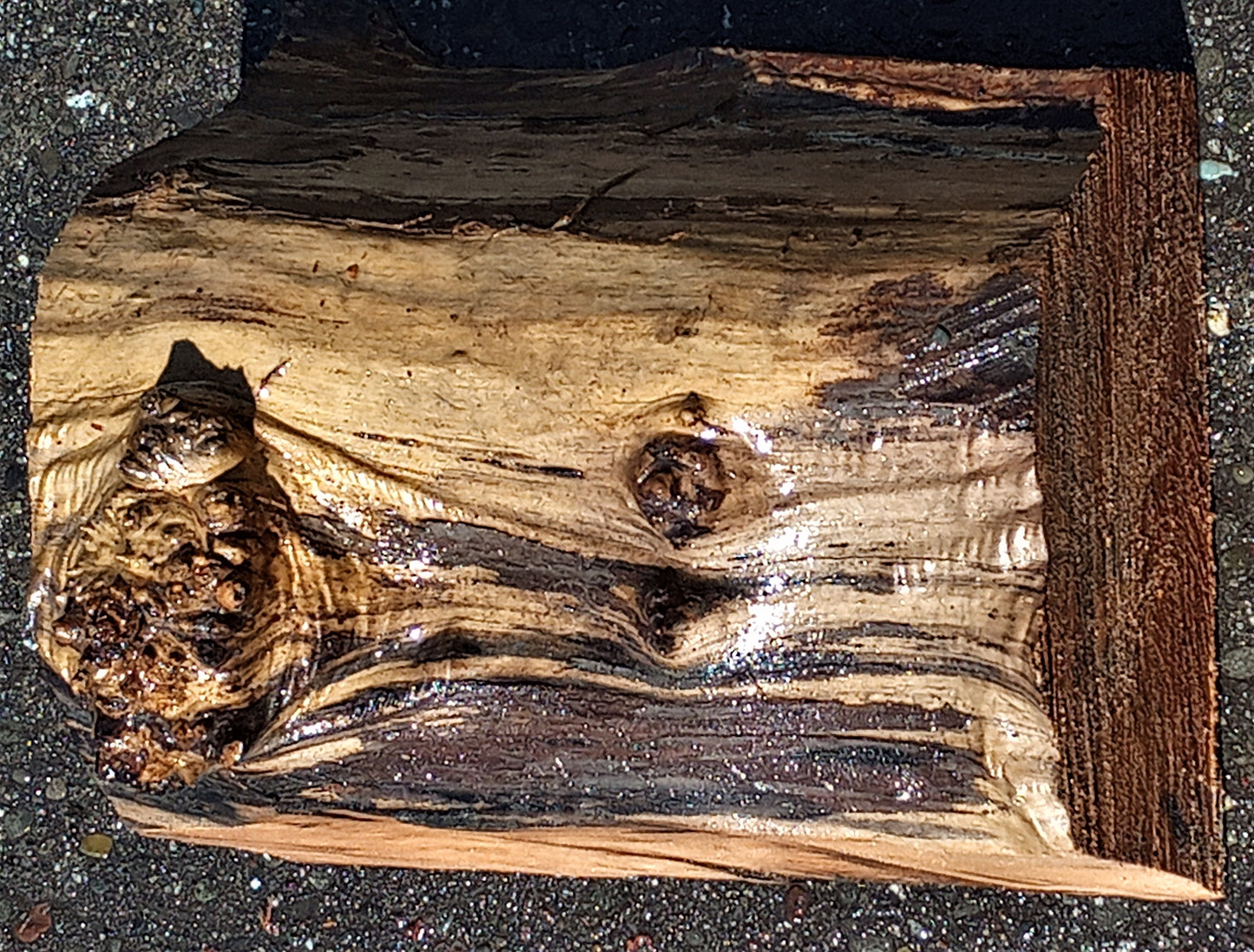 bowl turninmg | Myrtle burl | wood turning | DIY wood ideas | bl5054 myr