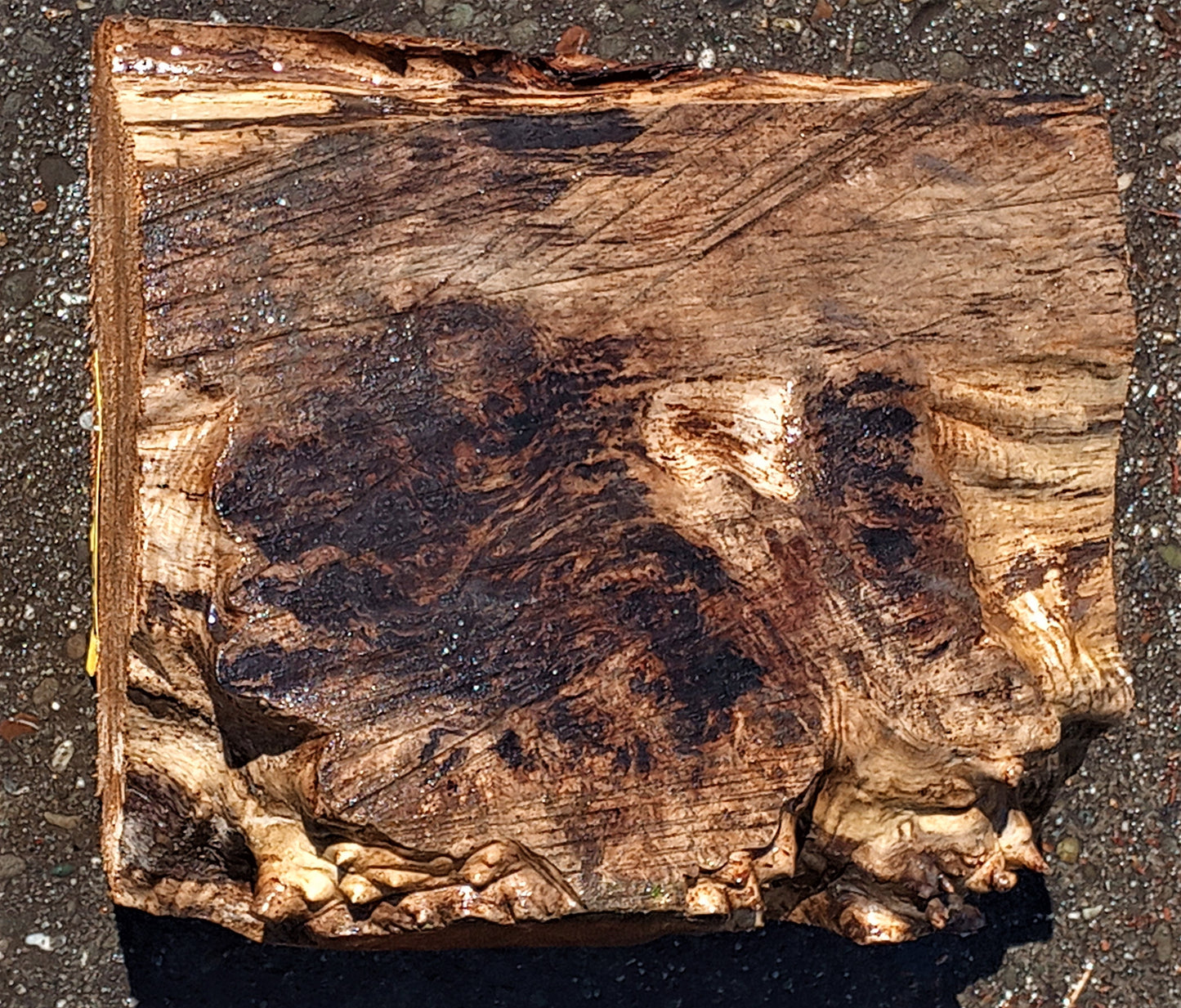 bowl turninmg | Myrtle burl | wood turning | DIY wood ideas | bl5053 myr