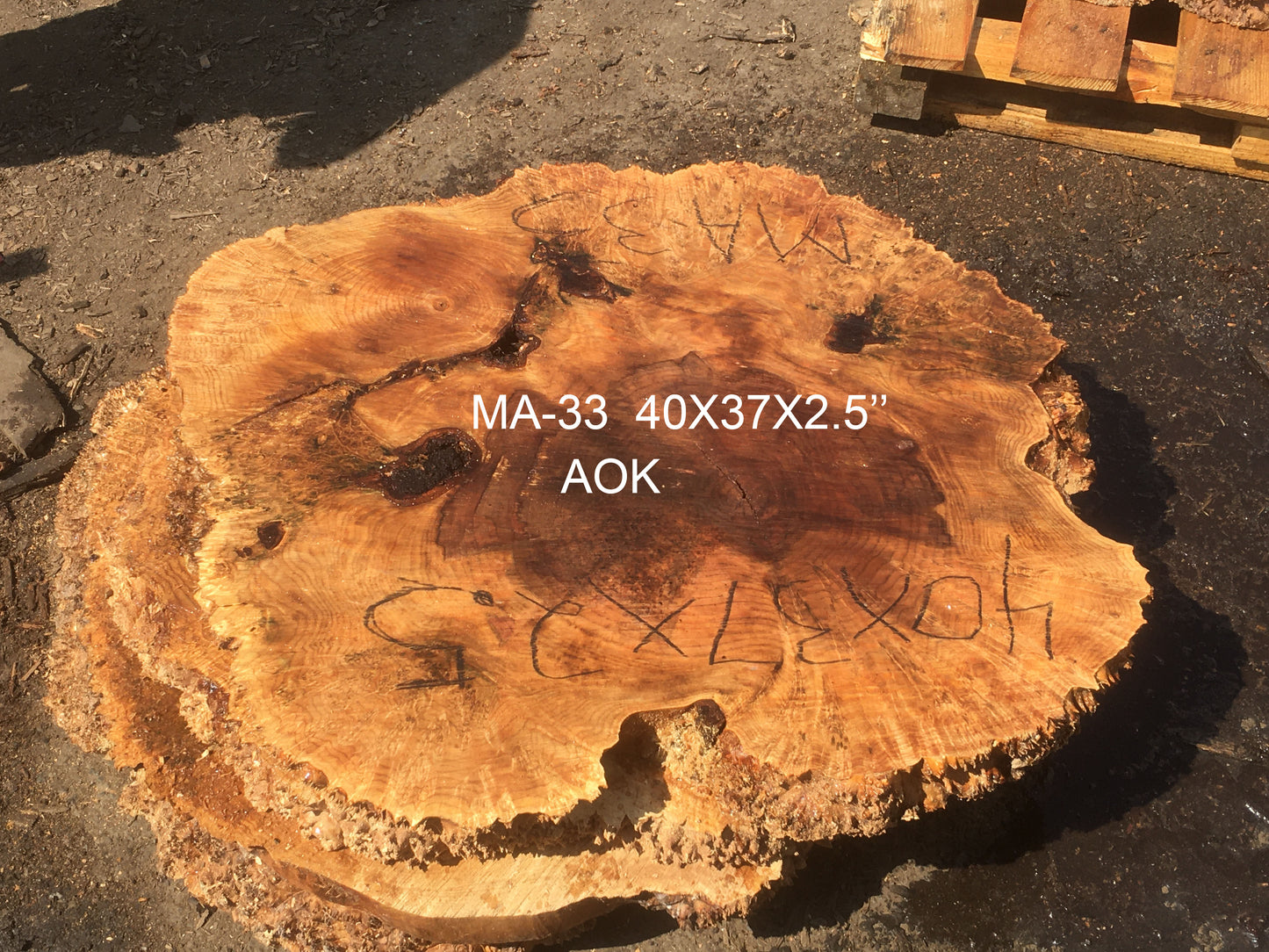 Maple burl | cookie cut | DIY crafts | live edge slab | MA-33