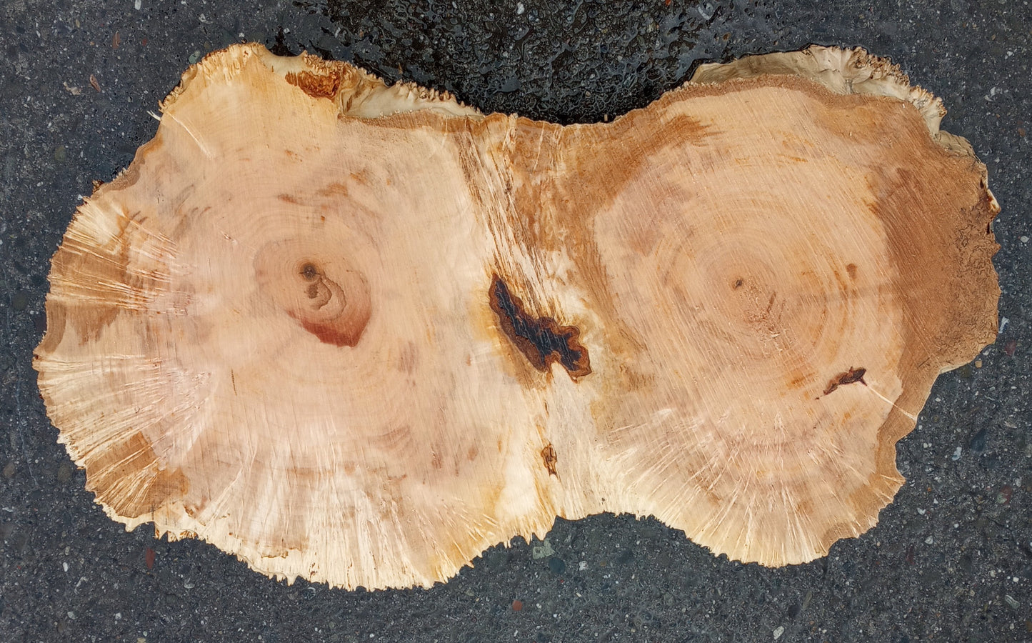 Maple burl | live edge slab | river table | DIY wood ideas | ma105