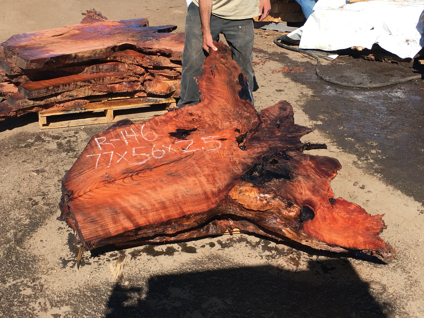 Live edge slab | river table | Redwood burl slab | DIY craft woods |