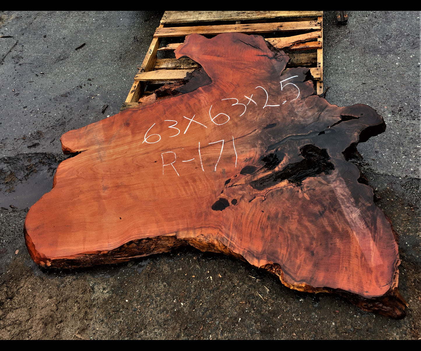 Redwood burl slab | live edge table | DIY wood crafts | river table | r-171