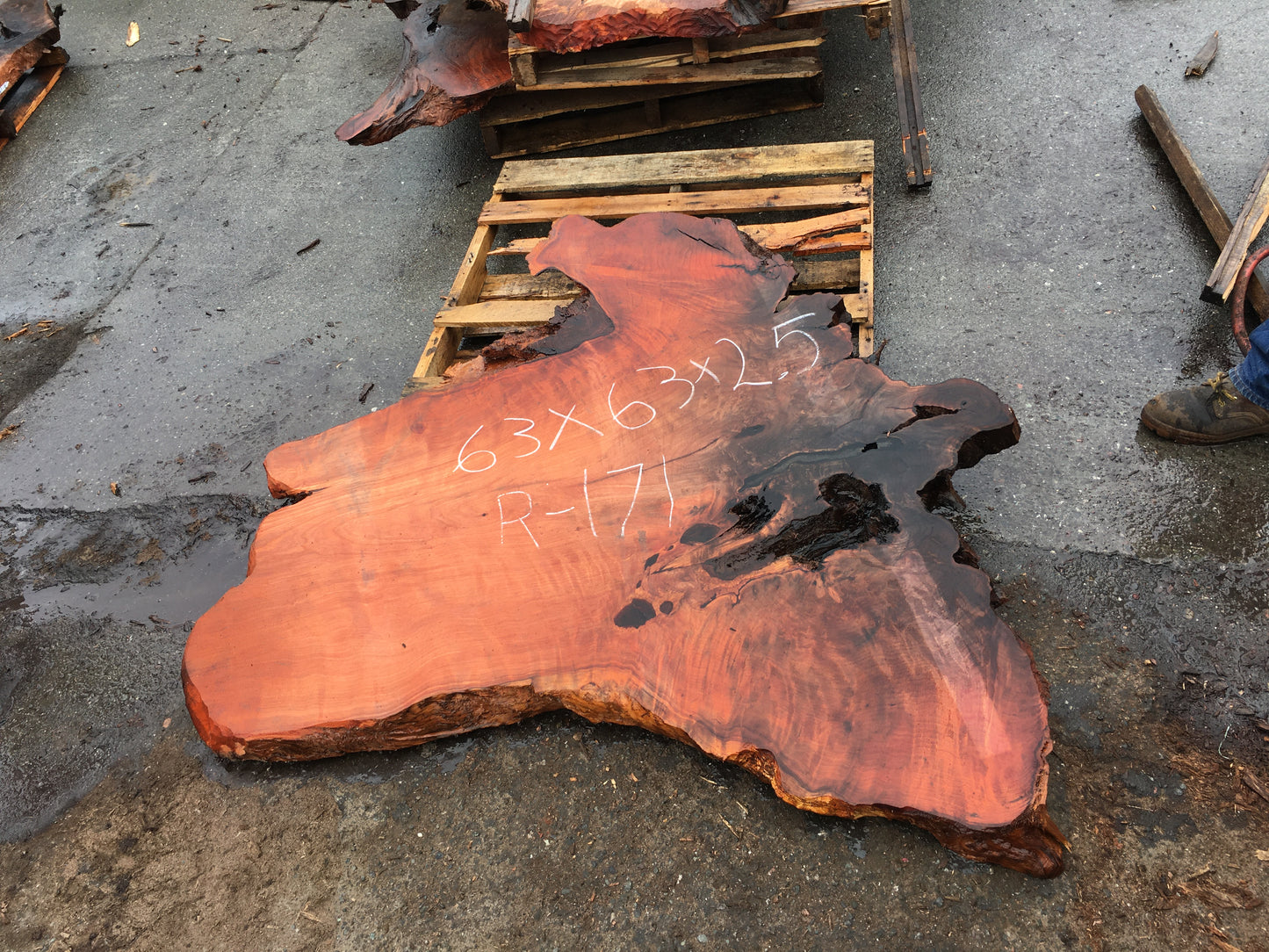 Redwood burl slab | live edge table | DIY wood crafts | river table | r-171
