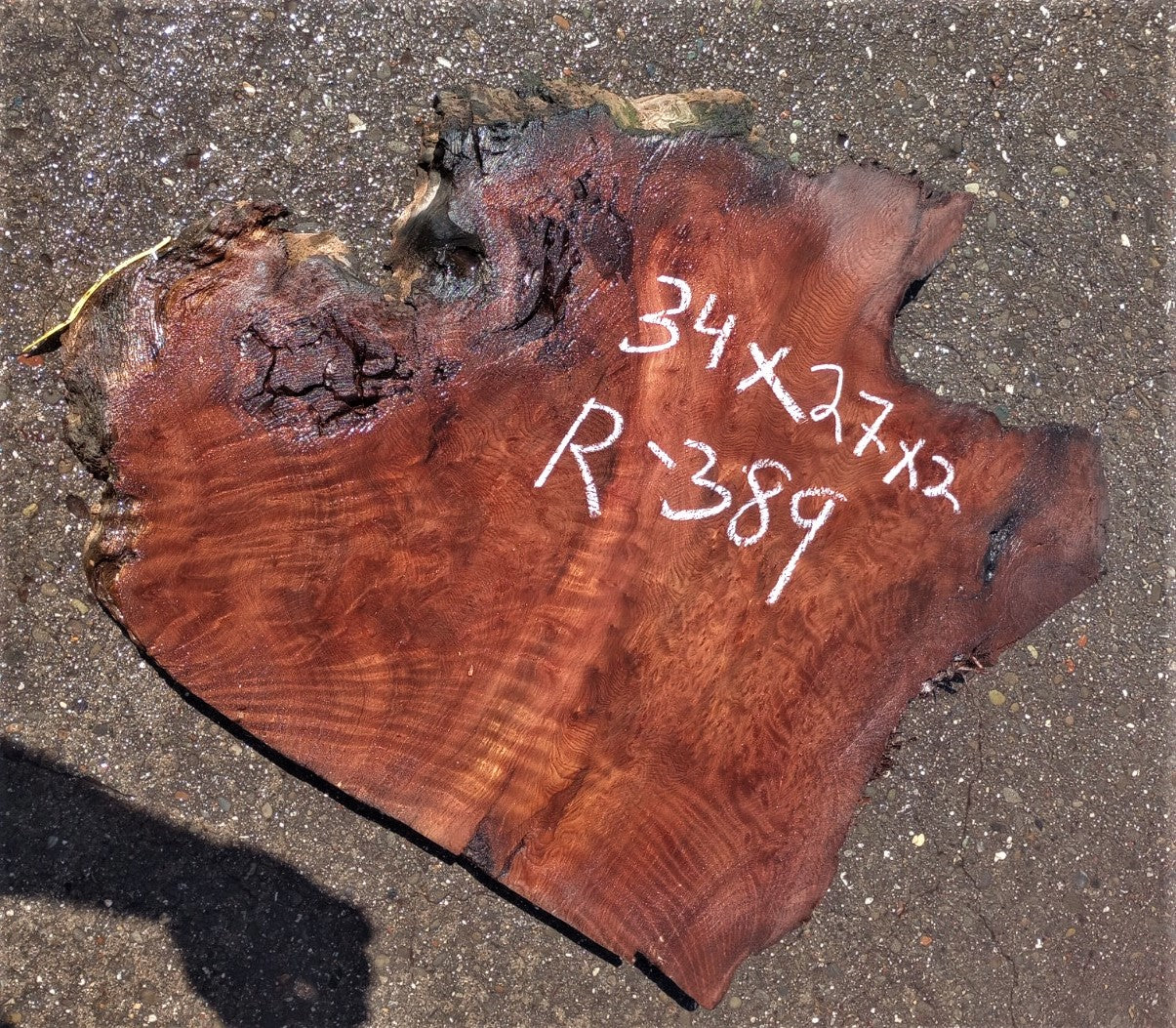 Redwood burl curl | live edge slab | burl table | DIY wood craft | r389