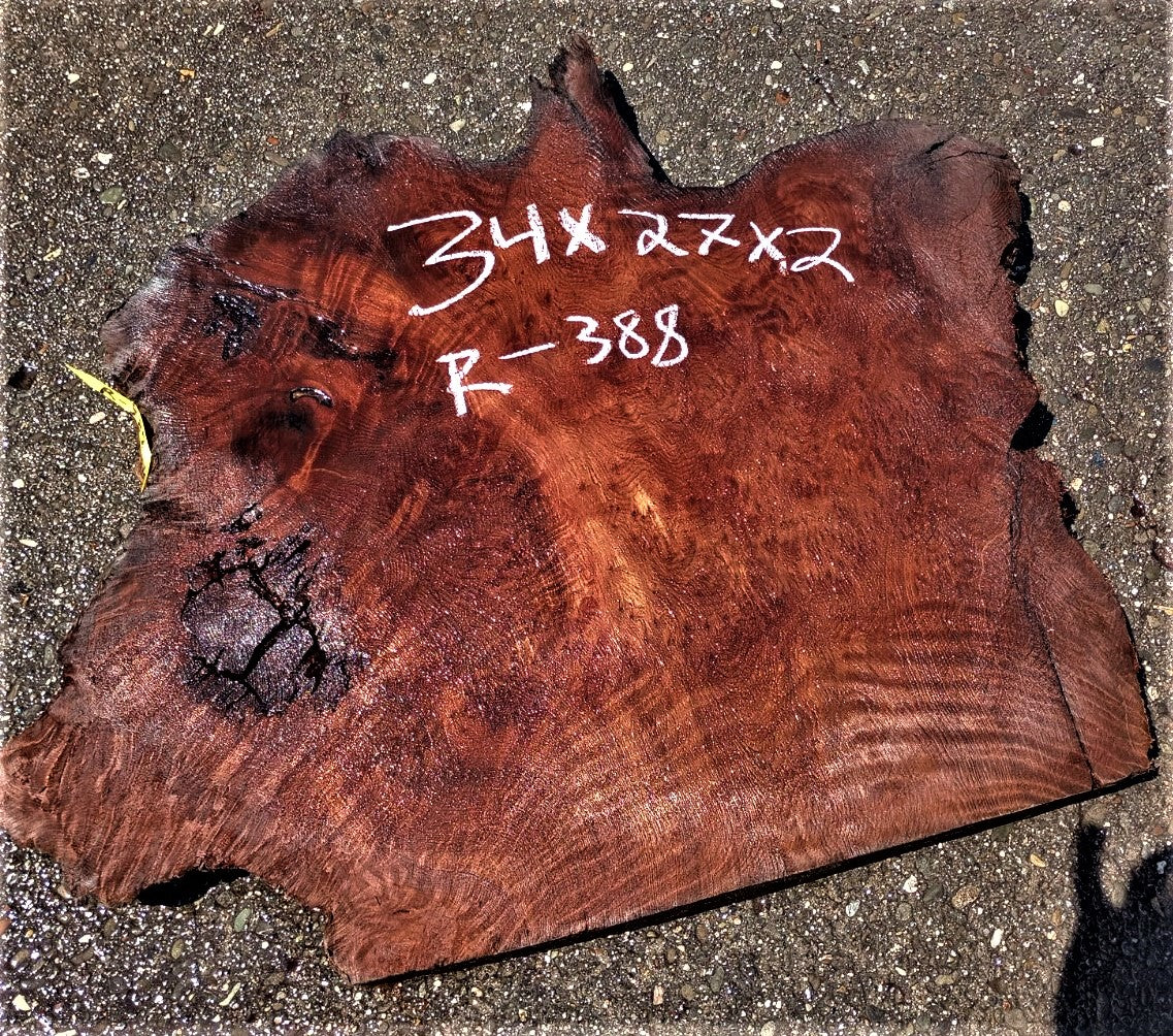 Redwood burl curl | live edge slab | burl table | DIY wood craft | r388