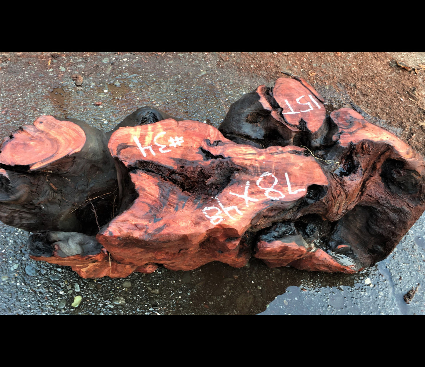live edge base | rustic base | glass base | pedestal | B34