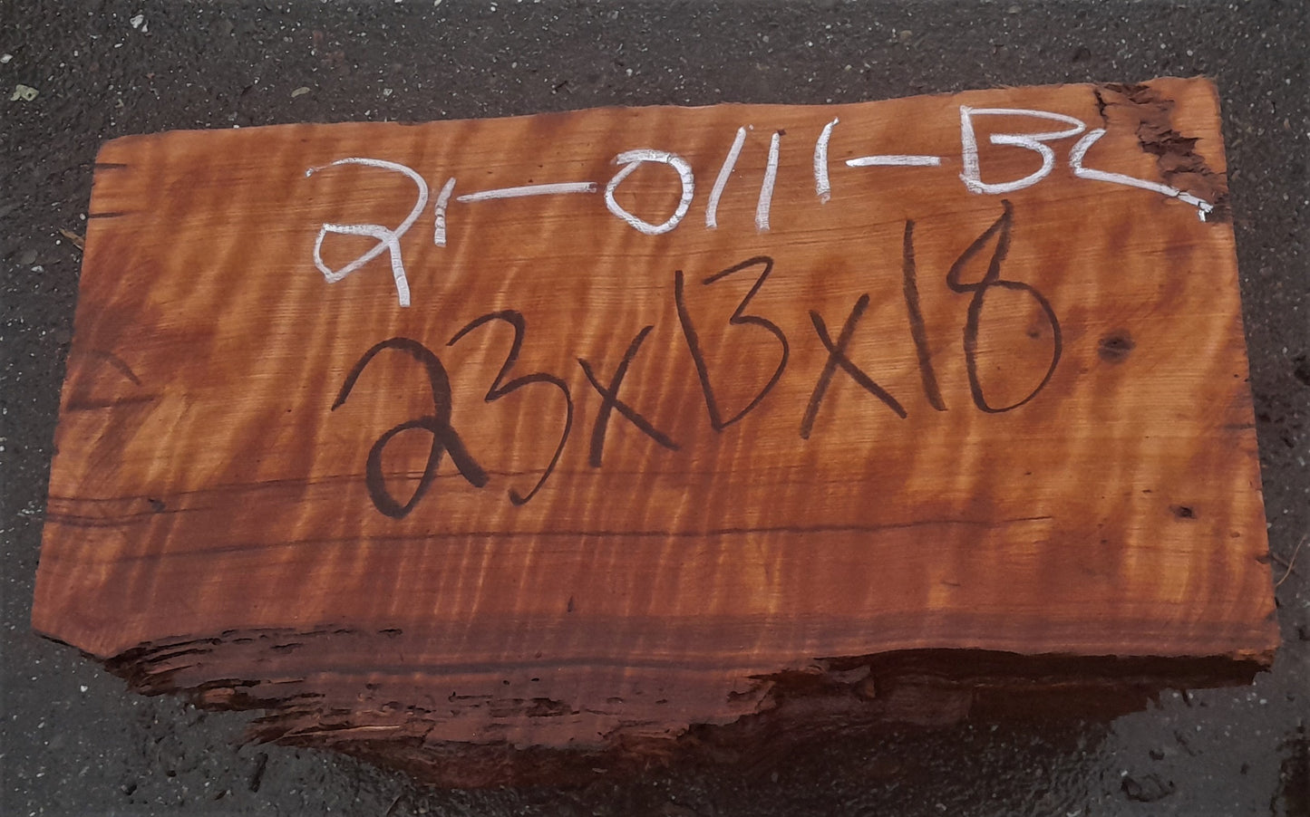 Redwood curly blank | DIY wood crafts | bowl turning | 21-0111-bl