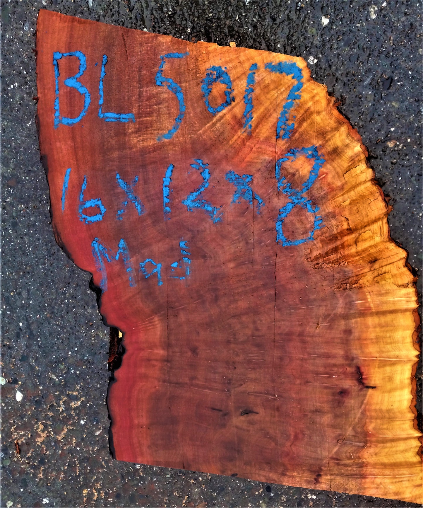 bowl turning | madrone burl | live edge | wood turning | bl-5017
