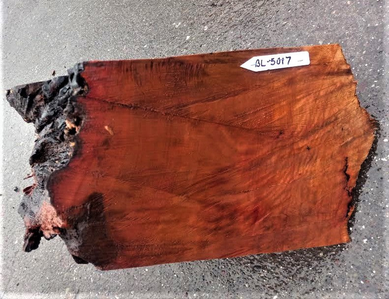 bowl turning | madrone burl | live edge | wood turning | bl-5017