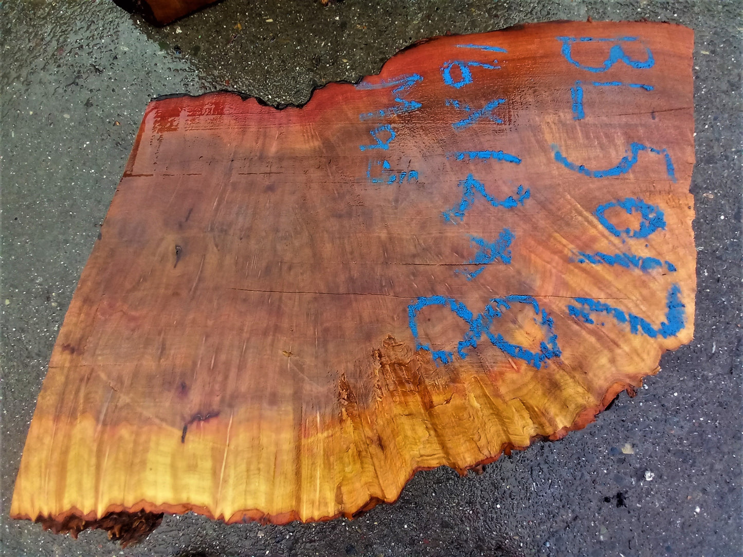 bowl turning | madrone burl | live edge | wood turning | bl-5017