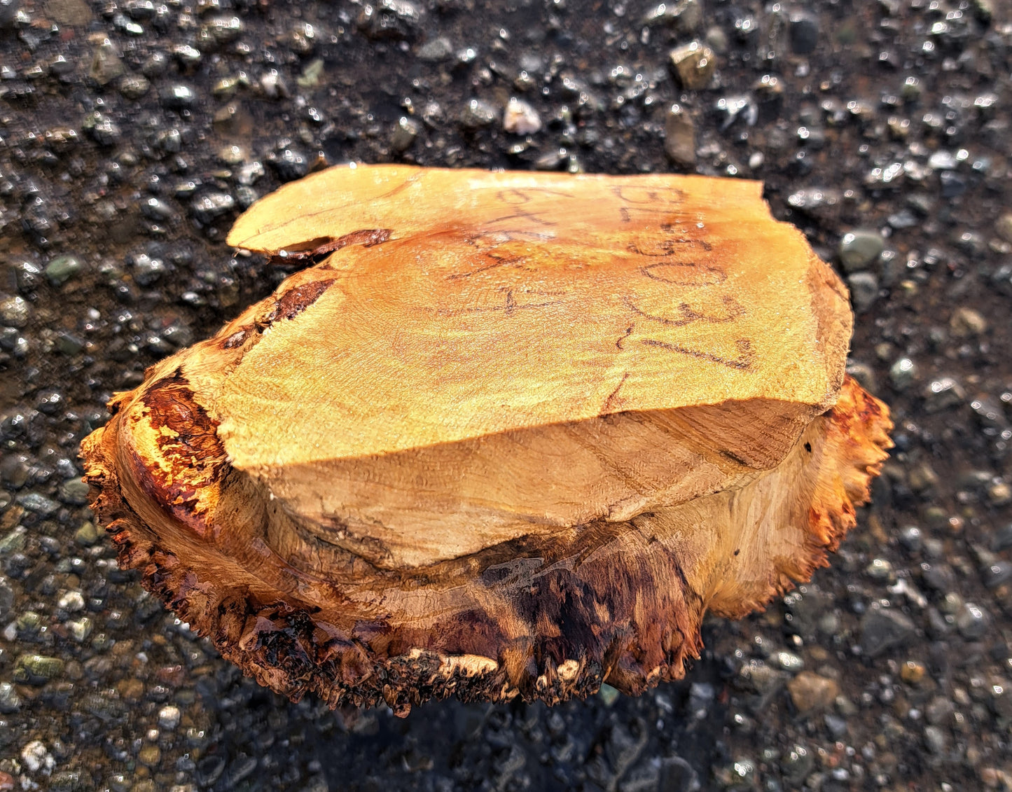 Maple cap | burl | live edge block | bowl turning | wood turning | BL5037