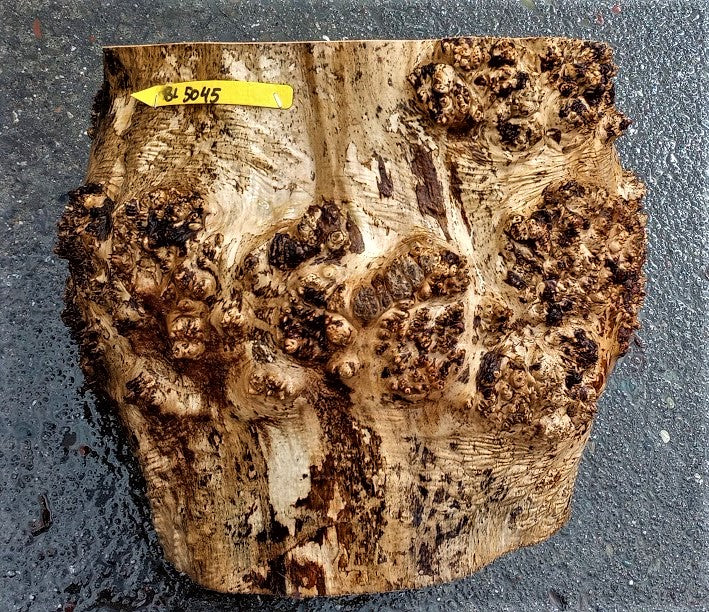 Bowl turning | Maple burl | wood turning | live edge lamp | bl5045-ma