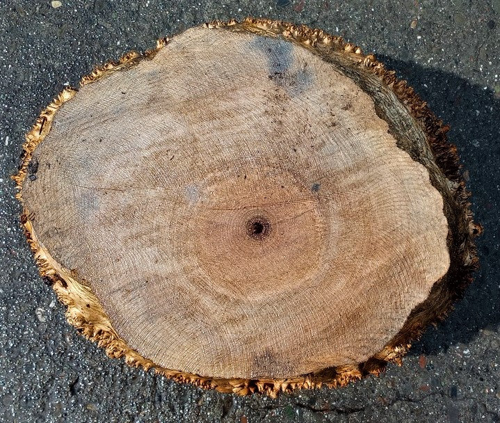 Bowl turning | Maple burl | wood turning | live edge lamp | bl5045-ma
