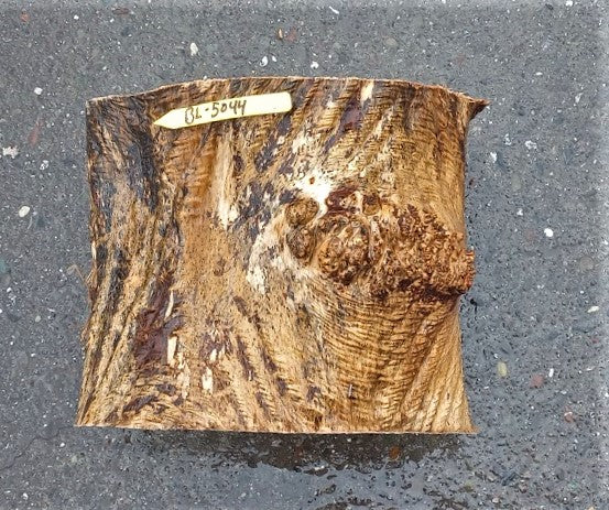 Bowl turning | Maple burl | wood turning | live edge lamp | bl5044-ma