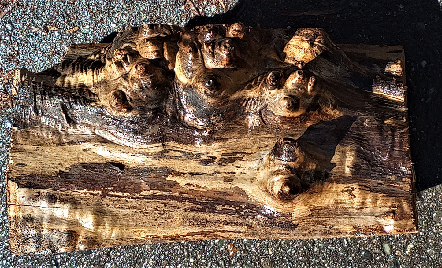 bowl turninmg | Myrtle burl | wood turning | DIY wood ideas | bl5052 myr