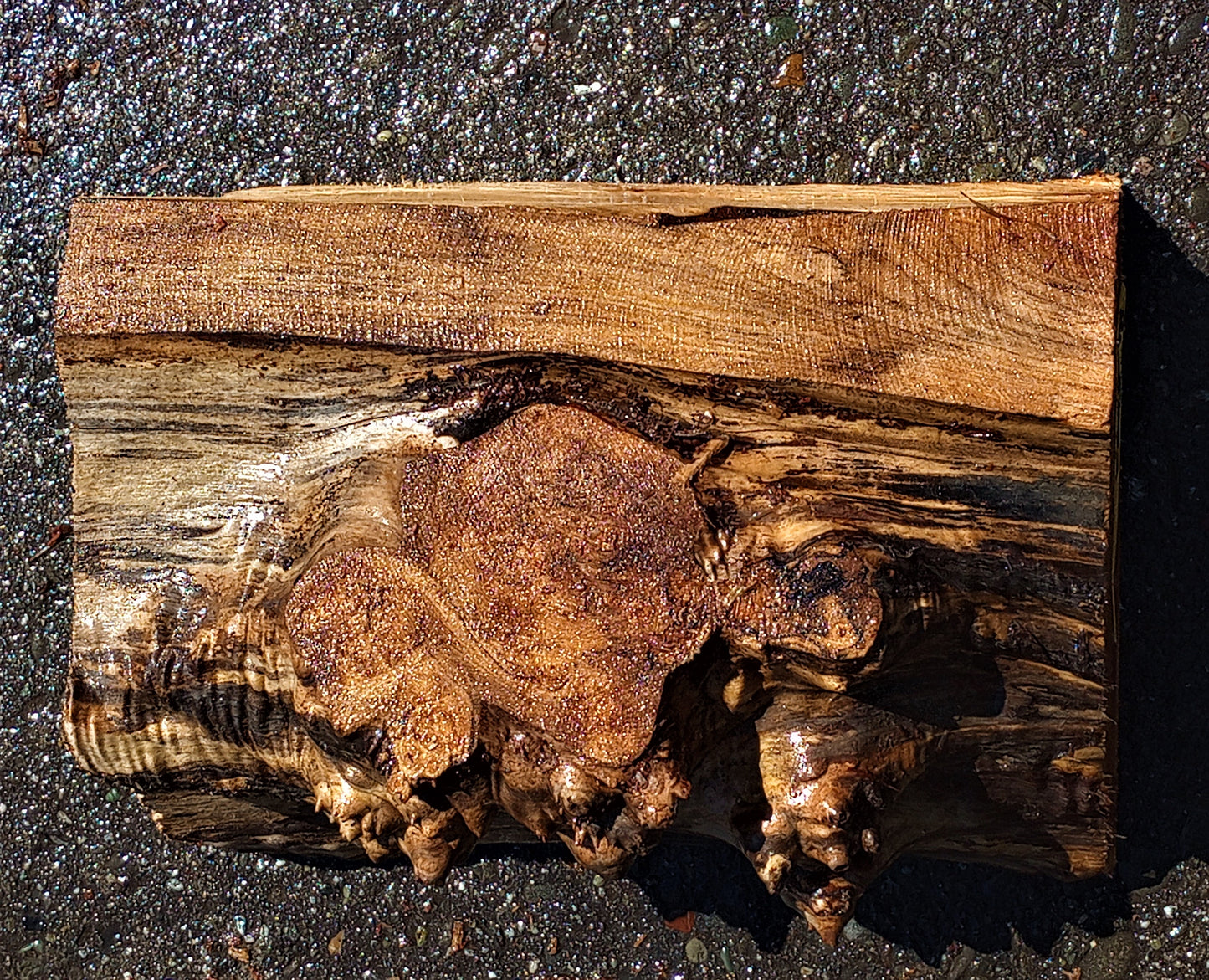 bowl turninmg | Myrtle burl | wood turning | DIY wood ideas | bl5052 myr