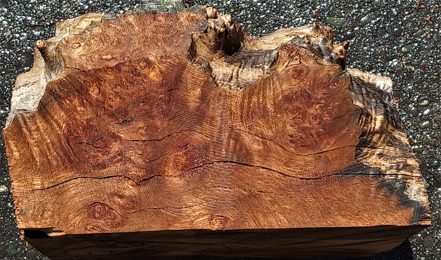 bowl turninmg | Myrtle burl | wood turning | DIY wood ideas | bl5053 myr