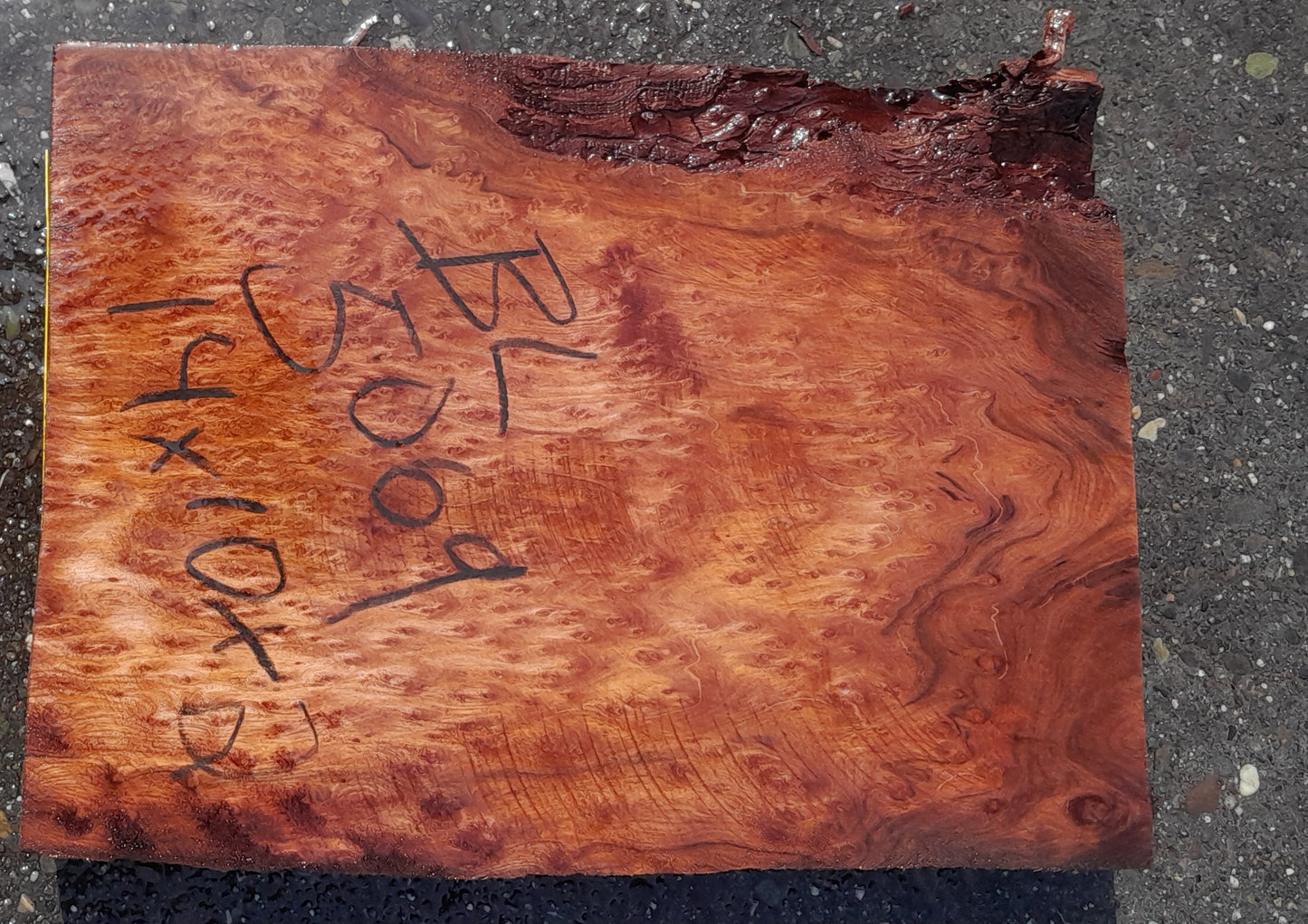 Bowl turning | Redwood burl | wood turning | DIY wood crafts | bl5069