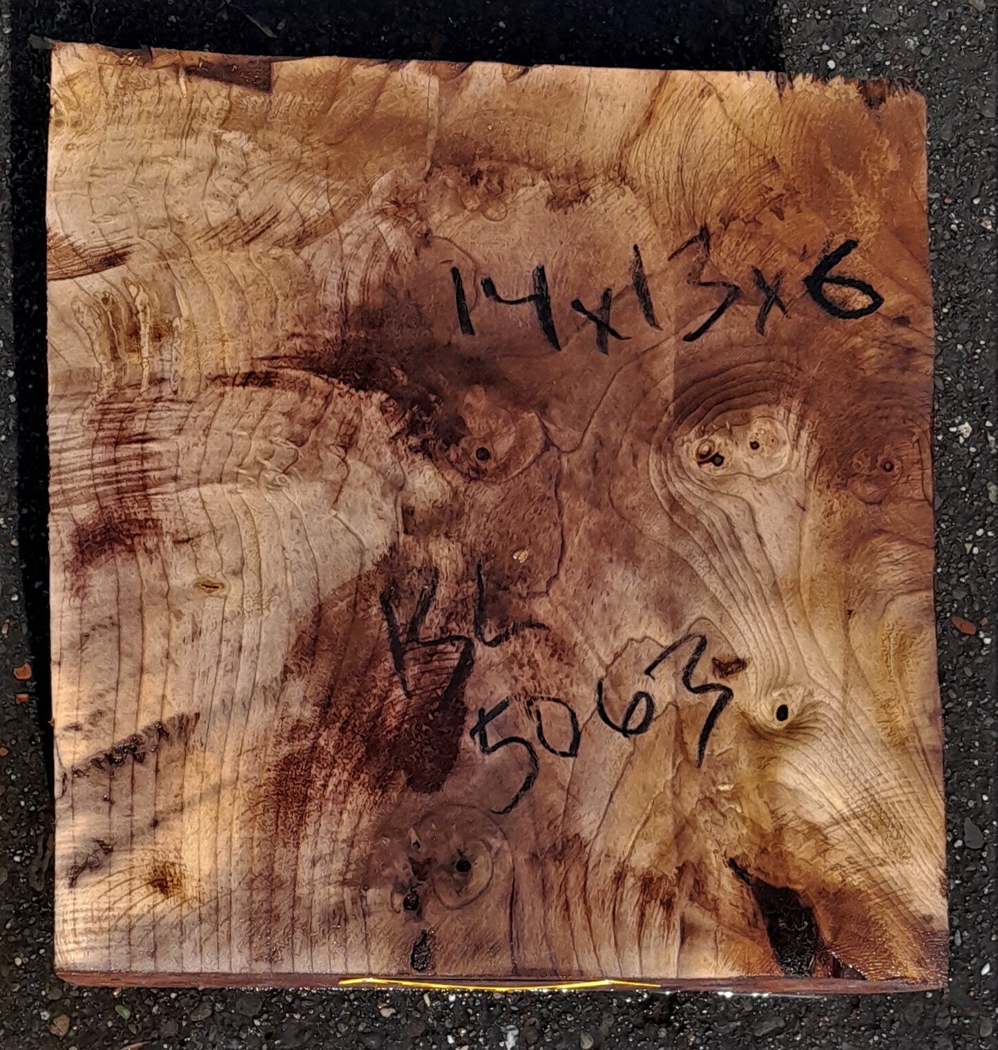 Myrtle burl | wood turning | DIY wood crafts | bl5063