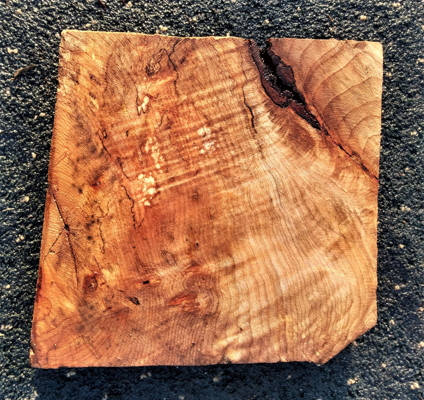 Spalted Maple | Bowl turning | DIY craft wood | BL673